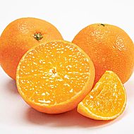 正宗宁波象山红美人柑橘爱媛橙10斤礼盒