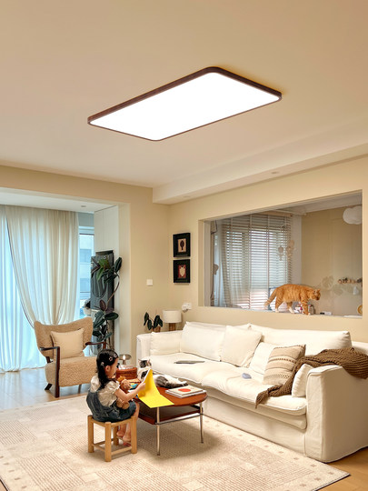 简顿中古风无缝5代PRO客厅吸顶灯极简宋氏美学普瑞全光谱护眼灯具