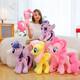 Super Cute Pony Princess Plush Doll Series Birthday Gift for Best Friend Complete Set My Little Pony Doll for Children