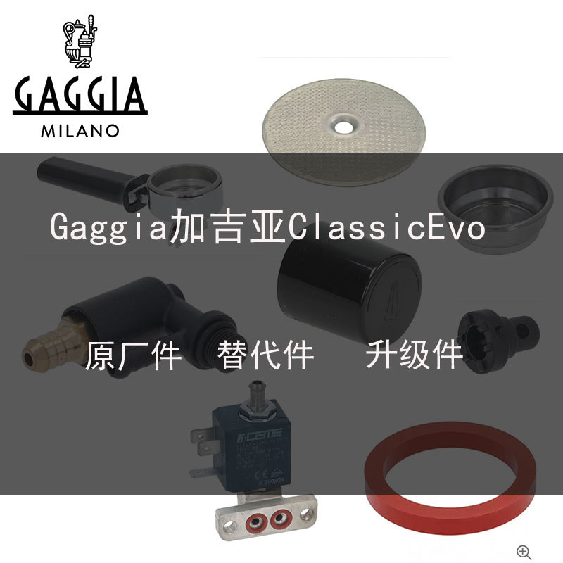Original Gaggia Classic Evo Semi-Automatic Coffee Machine Accessories Rubber Ring Water Separation Net Solenoid Valve