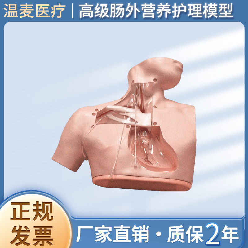 温麦医疗高级肠外营养护理模型中心静脉置管消毒穿刺固定模拟人