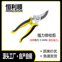 Stainless steel garden scissors fruit picking scissors multifunctional gardening and flower scissors vegetable branch scissors pruning scissors ribbon fruit