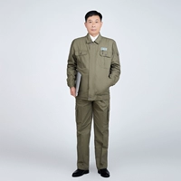 Государственная сетка зеленый набор