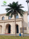 Artificial Coconut Tree, Fake Coconut Tree, Large Tropical Outdoor Artificial Landscape Tree, Green Plant Landscaping, Indoor Fake Palm Tree