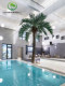Bionic Coconut Trees, Outdoor Coconut Tree Projects, Commercial Landscaping, Simulated Coconut Trees, Fake Coconut Trees, Artificial Palm Trees