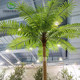 Artificial Coconut Tree Large Floor-Standing Potted Plant for Bar, Shopping Mall, Restaurant Landscaping Decoration, Green Plant with Real Tree Trunk, Coconut Palm Tree