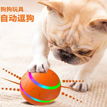 Pet Smart Toy Remote Control Luminous Yo-Yo Mouse Funny Dog Cat Rabbit Resistant to Bite Molars Cat Waterproof Charging