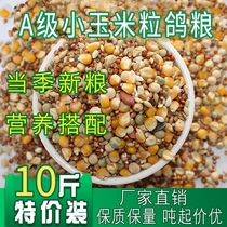 10 pounds of corn nutritious pigeon food meat pigeon homing pigeon ornamental pigeon racing pigeon food high-quality feed pigeon food