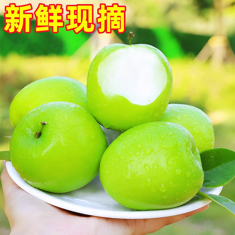 牛奶枣是什么水果？小白必看，解锁甜品新吃法，绝绝子！