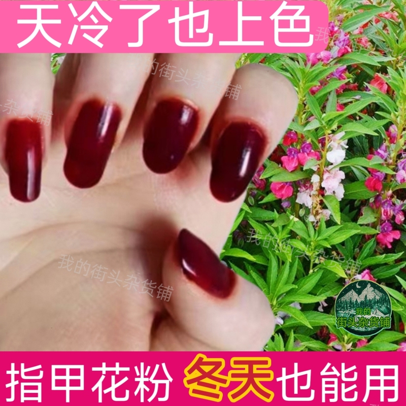 Impatiens Flower Powder Can Be Used in Winter, Henna Powder, Small Peach Red Henna, Small Knife Red Nail Grass, Natural Manicure