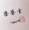 婆婆亲精选野生中草药