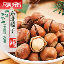 Hazelnut Northeastern specialty large grain new nuts roasted seeds and nuts snacks new years goods bagged net weight one pound or two pounds