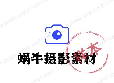 蜗牛摄影素材
