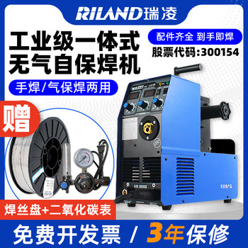 Ruiling Gasless Secondary Welding Machine 220V Carbon Dioxide Gas Protection Welding Machine Welding All-In-One Household Portable Small