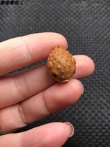 Olive stone carving pufferfish fish cute alternative unpopular literary play single pendant old oil stone