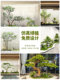 Artificial Green Maple Tree, Chicken Claw Maple Bonsai, Fake Tree Floor Decoration, Tea Room Indoor Green Plant Landscaping Decoration
