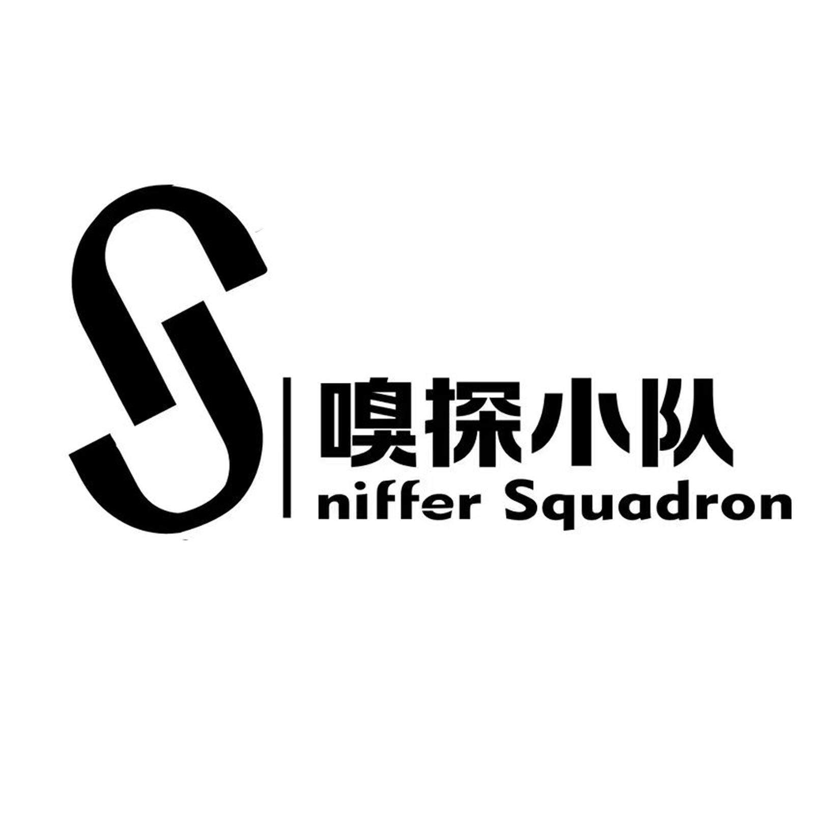 嗅探小队
