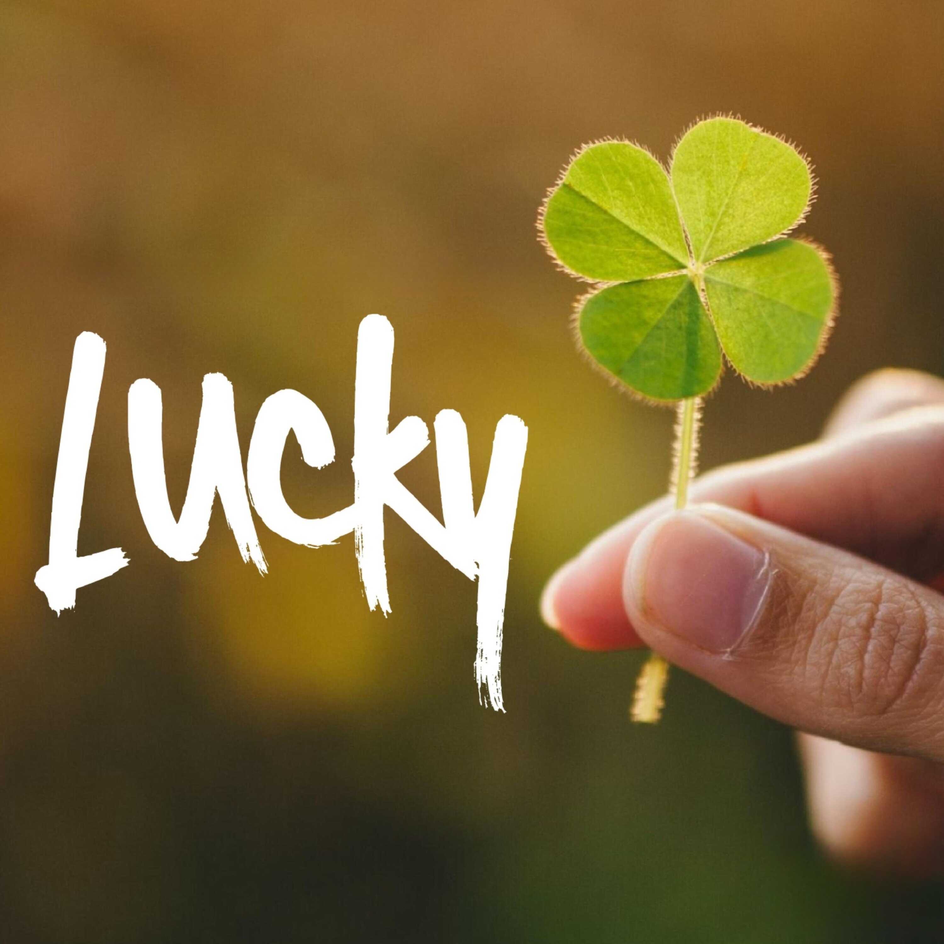 Lucky  Tree