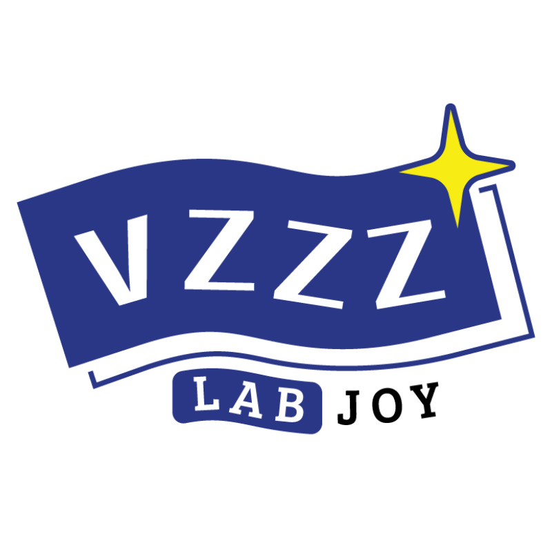 VZZZ旗舰店
