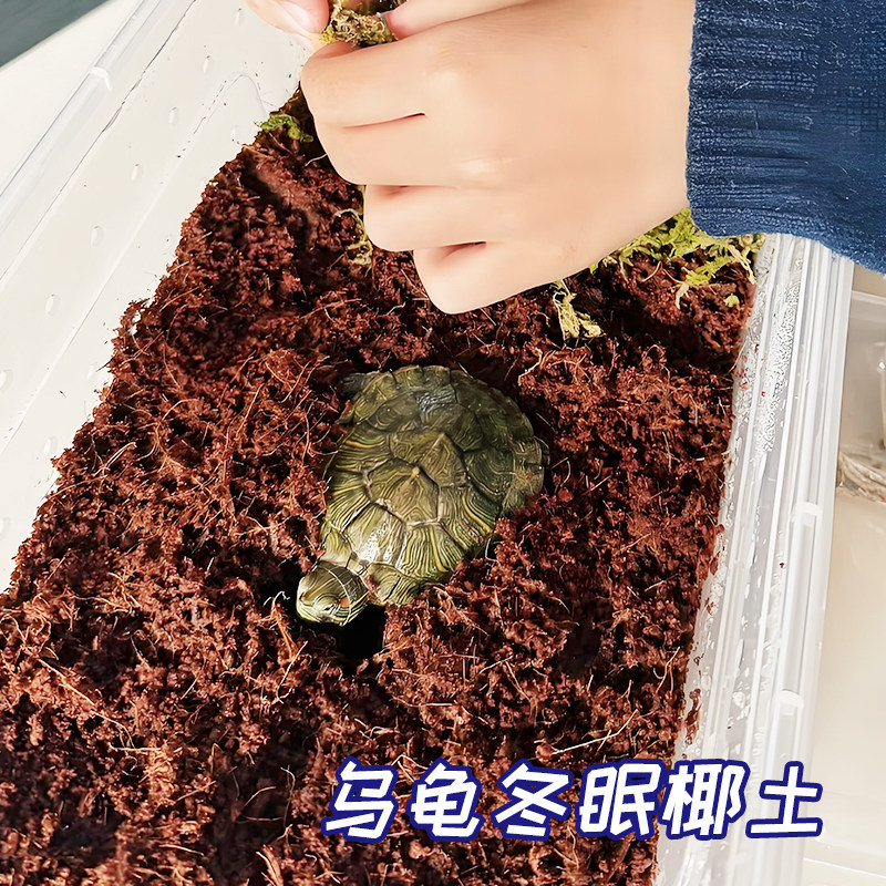 乌龟冬眠土怎么选?爬宠椰土免泡巴西龟草龟角蛙寄居蟹过冬保暖苔藓饲养箱全攻略-保暖服装-淘宝好物网
