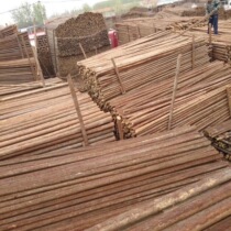 Fir log piles river piles pine wood piles outdoor river revetment pine log piles larch wood piles piling