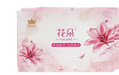 Snow lotus paste Traditional Chinese medicine private pads