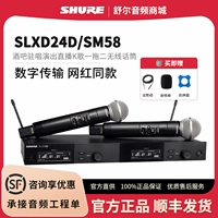 SLXD24D/SM58 один два