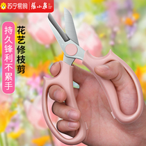 Zhang Xiaoquan floral scissors flower pruning scissors flower arrangement scissors household flower cutting shop special tools flower arranging scissors 1290