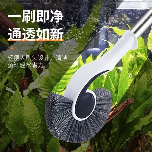 Внутренняя стена аквариума, морская лошадь щетка, рыба, длинная стержня, раковина, чистая щетка.