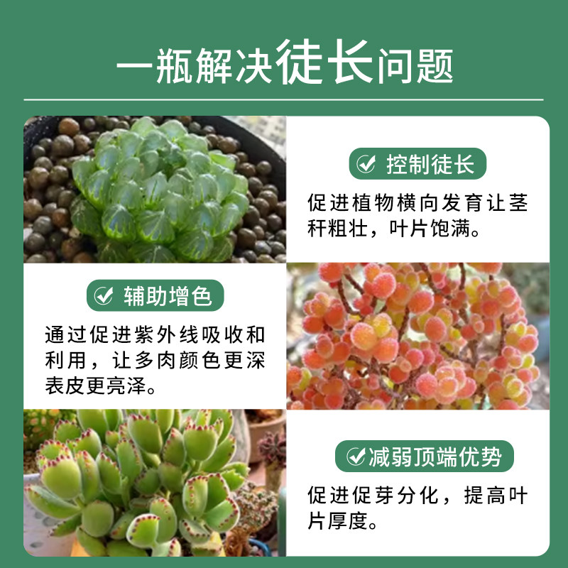 多肉矮胖素营养液,让你的植物“站得稳、长得壮”_护肤品_淘宝美妆网