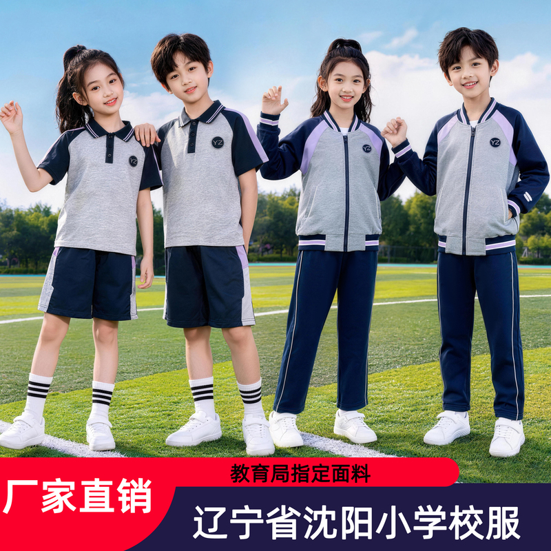 Shenyang, Liaoning Province, Unified School Uniforms for Primary School Students, Gray-Purple Style, Summer Sports and Spring-Autumn Sets, Optional with School Badge