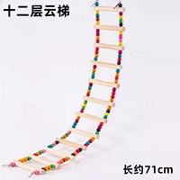 Двенадцать облачных лестниц