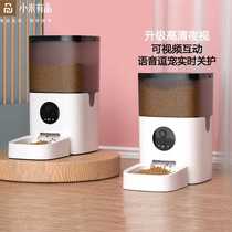 Xiaomi Youpin Pet Intelligent Automatic Feeder Cat Visual Cat Food and Dog Food Timing and Quantitative Remote Feeder