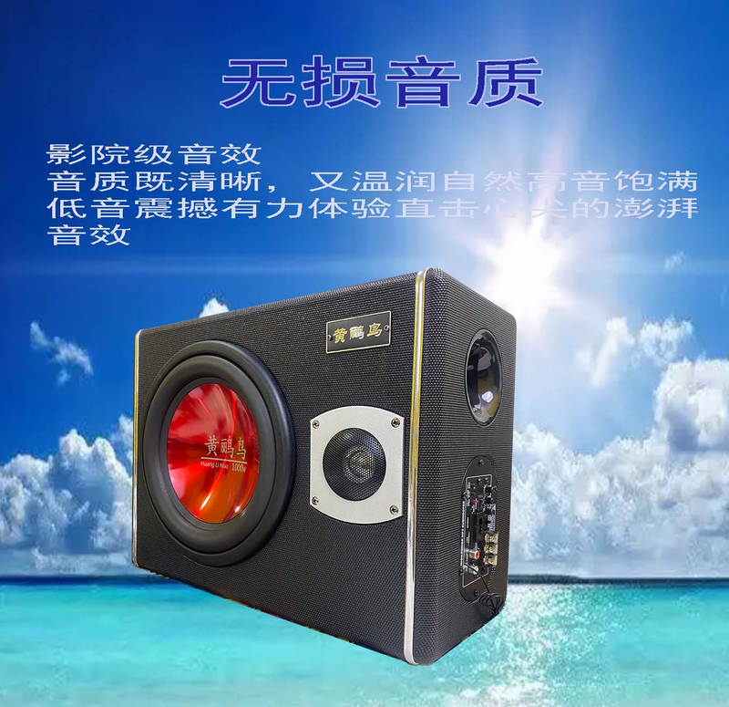Yellow Bird 8inch Ultra-Thin Car Home Subwoofer High Power 12V24V220V Bluetooth Speaker Super Heavy Low U Yellow Bird 8inch Ultra-Thin Car Home Subwoofer High Power 12V24V220V Bluetooth Speaker Super Heavy Low U