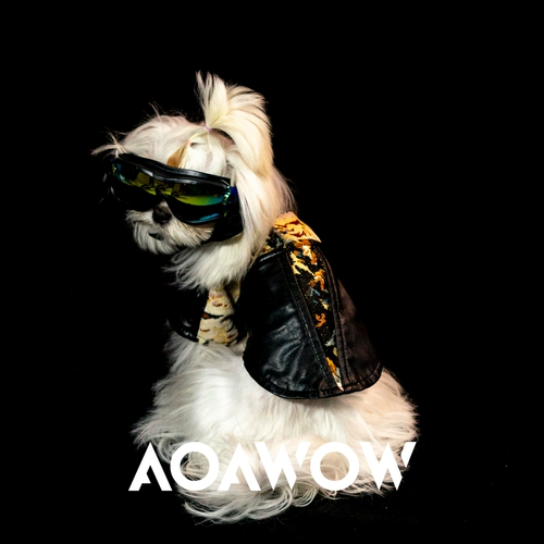 Aoawow Pet Fashion Andre Locomative Ветровые кошки и одежда для собак