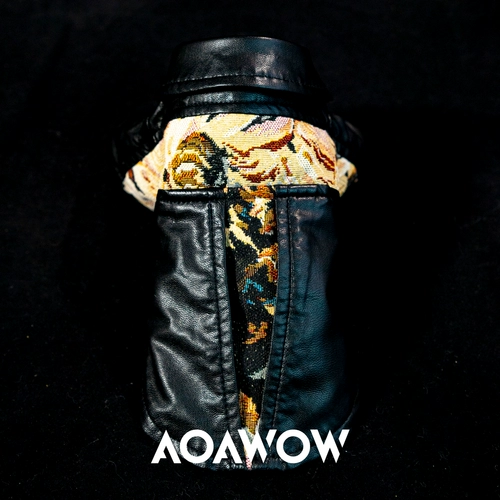 Aoawow Pet Fashion Andre Locomative Ветровые кошки и одежда для собак