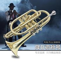 Cornet trumpet instrument B flat professional grade cornet instrument brass instrument beautiful tone