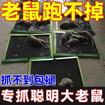 Grand rat stick strong mouse plate Dachau super-strong adhesive and rodent rodent household sticker add up good to arrest