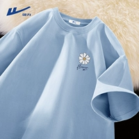 Ледник синий (ч чистый хризантемм грудь)