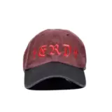 [Предпочтение от мужчин] Меланхолия ERD, богатое богатым вторым генерациями санскритского логотипа логотипа