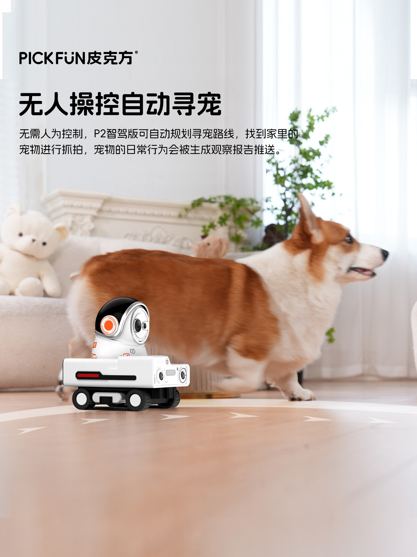 Pike Fang Sports Pet Camera Is a Smart Dual-Purpose Device That Can Be Used at Home with Remote Control and Real-Time Video Recording