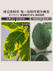 High-End Artificial Green Plant Landscaping Combination for Popular Photo Spots, Indoor Faux Flower Floor Decorations under Store Stairs