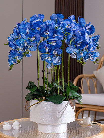 Simulated Large Phalaenopsis Orchid Potted Plant, Fake Floral Art, High-End Dining Table Decoration, Plastic Flower Ornaments for Home Living Room
