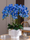 Simulated Large Phalaenopsis Orchid Potted Plant, Fake Floral Art, High-End Dining Table Decoration, Plastic Flower Ornaments for Home Living Room