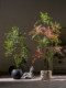 High-End Light Luxury Artificial Nandina Bamboo Dense Green Plant Large Potted Indoor Living Room Faux Tree Decoration Floor-Standing Ornament