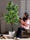 Money Tree Artificial Green Plant for Living Room, New Year's Artificial Tree, High-End Indoor Decoration, Large Floor-Standing Potted Plant Ornament