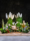 Outdoor Camping Style Simulated Green Plant Landscaping Combination Barbecue Restaurant Window Decoration Staircase Corner Artificial Tree Ornaments