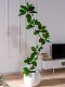 Simulated Green Plant Rubber Tree Large Floor-Standing Ornament High-End Light Luxury Living Room Indoor Black Diamond Bionic Plant Decoration