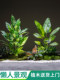 Artificial Green Plants for Decorating under Stairs, Indoor Bionic Decorative Landscape Combination, Fake Flower Tree Floor Arrangement Ornaments
