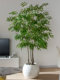 New Year Willow Tree Artificial Green Plant Landscaping High-End Living Room Fake Tree Luxury Decoration Large Floor-Standing Ornament